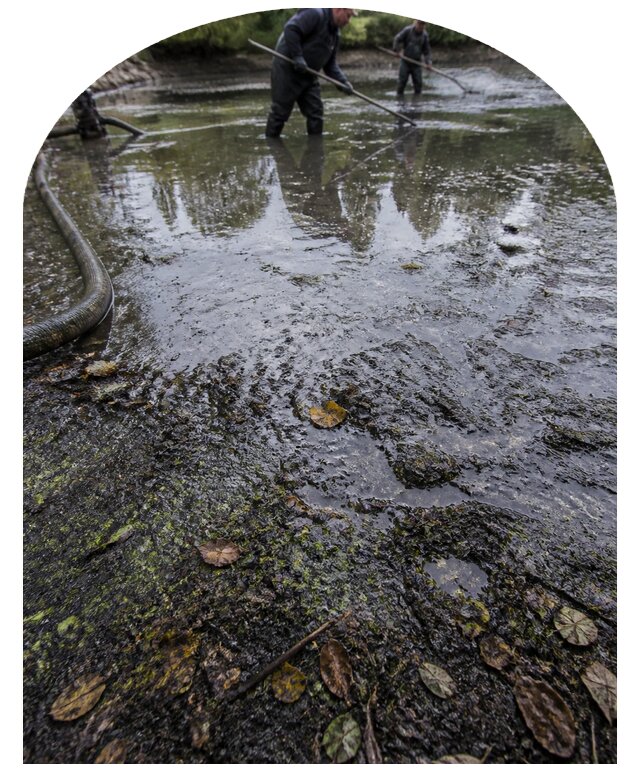 Очистка пруда в Волжском от ила мусора и водорослей с вывозом
